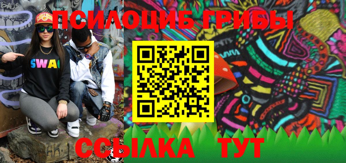 Людиново  Псилоцибиновые грибы MAGIC MUSHROOMS  Вход с VPN 